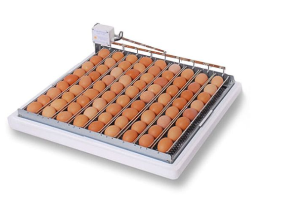 Domácí líheň HU 100 FSK - PLMASCHINE – Obrázok 4